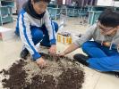 4.校园月季繁殖2